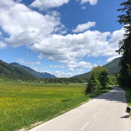 Apartmaji Luka Appartamento Rateče Esterno foto