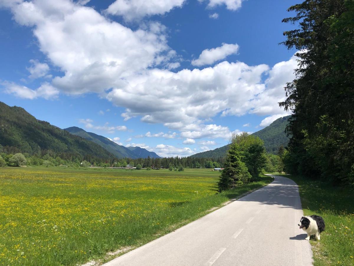Apartmaji Luka Appartamento Rateče Esterno foto
